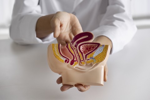 Pachet urologie - consultatie de specialitate + ecografie